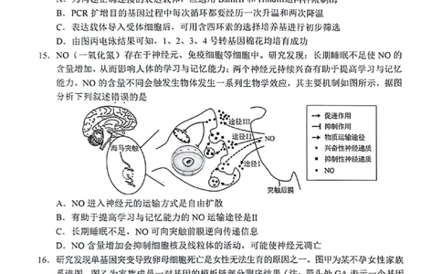 2024届广东省梅州市高三年级4月总复习质检（二模）生物试题+答(1)_2024年4月_024月合集_2024届广东省梅州市高三二模