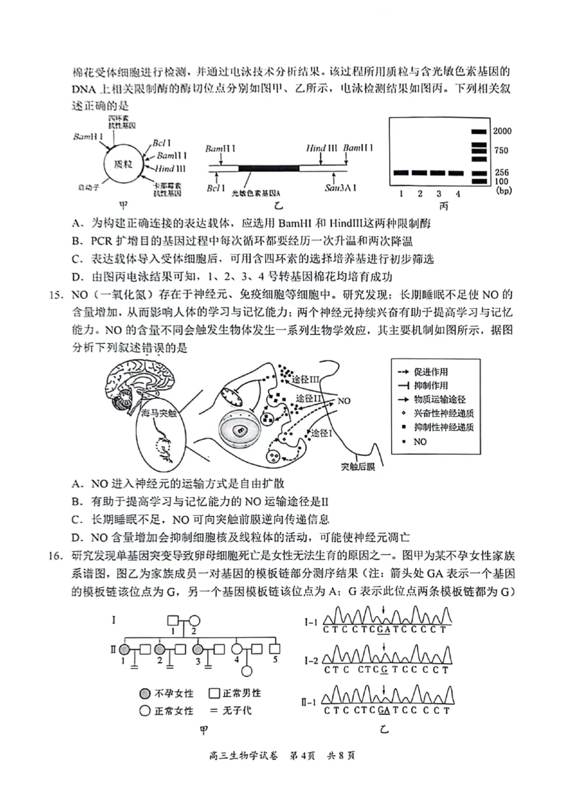 2024届广东省梅州市高三年级4月总复习质检（二模）生物试题+答(1)_2024年4月_024月合集_2024届广东省梅州市高三二模