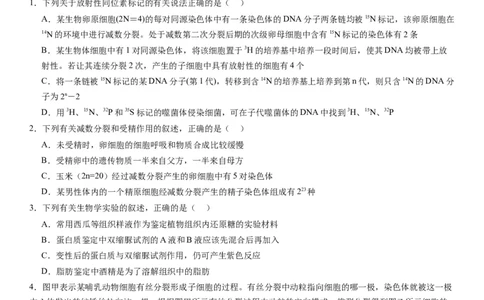辽宁省实验中学2023-2024学年度高考适应性测试（一）生物试题(1)_2023年10月_0210月合集_2024届辽宁省实验中学高三上学期高考适应性测试（一）