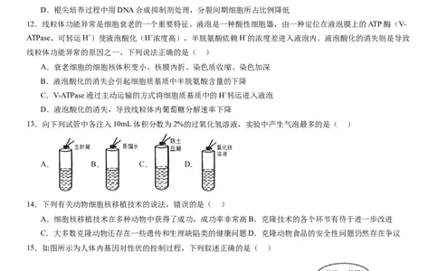 辽宁省实验中学2023-2024学年度高考适应性测试（一）生物试题(1)_2023年10月_0210月合集_2024届辽宁省实验中学高三上学期高考适应性测试（一）