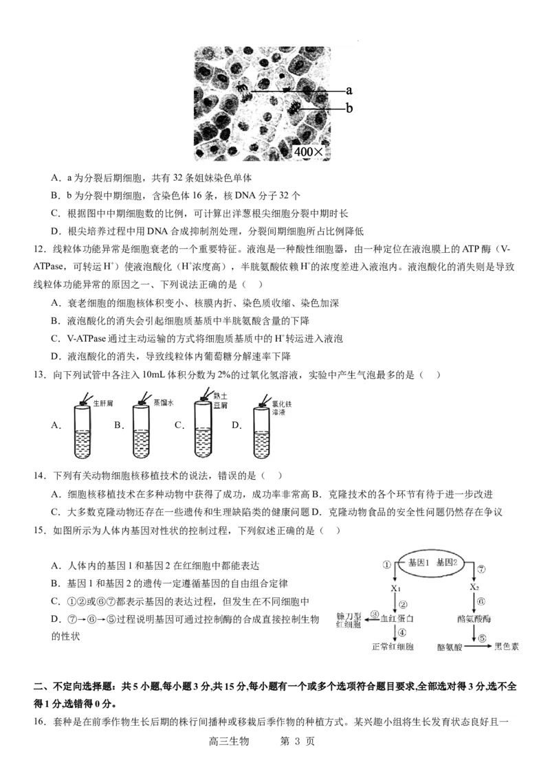辽宁省实验中学2023-2024学年度高考适应性测试（一）生物试题(1)_2023年10月_0210月合集_2024届辽宁省实验中学高三上学期高考适应性测试（一）