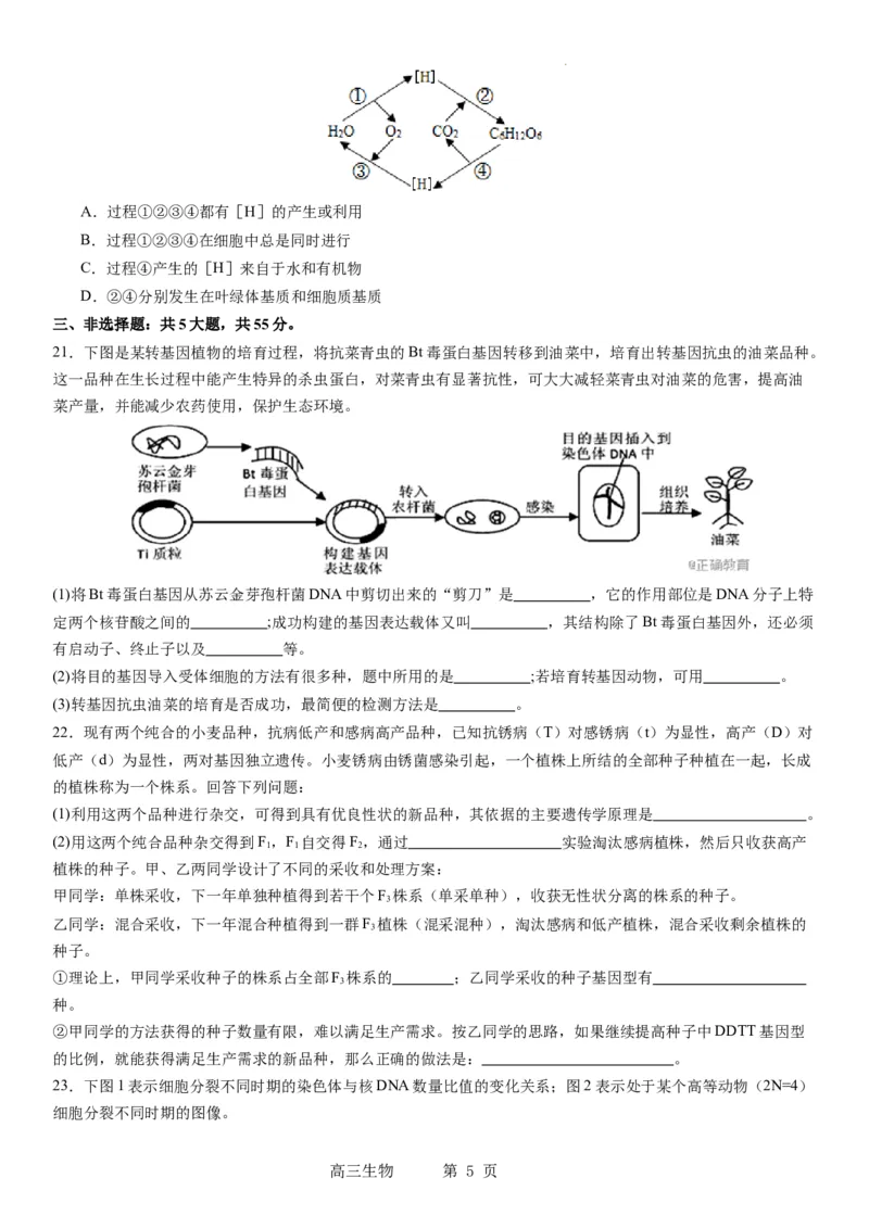 辽宁省实验中学2023-2024学年度高考适应性测试（一）生物试题(1)_2023年10月_0210月合集_2024届辽宁省实验中学高三上学期高考适应性测试（一）
