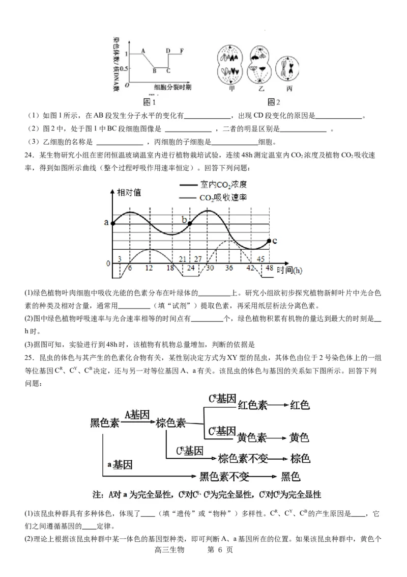 辽宁省实验中学2023-2024学年度高考适应性测试（一）生物试题(1)_2023年10月_0210月合集_2024届辽宁省实验中学高三上学期高考适应性测试（一）