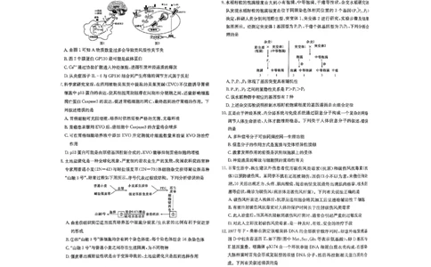 湖南省雅礼中学2024届高三月考试卷（一）生物试题_2023年9月_01每日更新_22号_2024届湖南省长沙市雅礼中学高三上学期月考试卷（一）