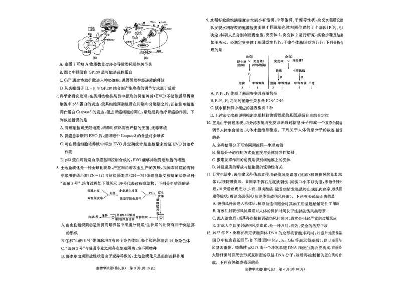 湖南省雅礼中学2024届高三月考试卷（一）生物试题_2023年9月_01每日更新_22号_2024届湖南省长沙市雅礼中学高三上学期月考试卷（一）