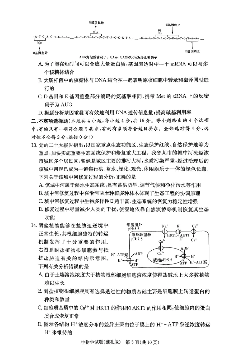 湖南省雅礼中学2024届高三月考试卷（一）生物试题_2023年9月_01每日更新_22号_2024届湖南省长沙市雅礼中学高三上学期月考试卷（一）
