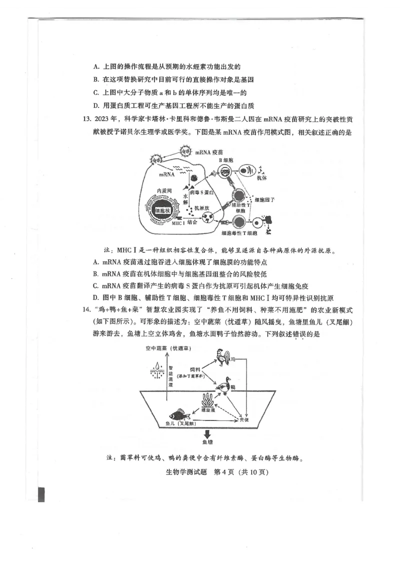 2024届广东省韶关市高三下学期综合测试（二）生物试题_2024年3月_013月合集_2024届广东省韶关市高三下学期综合测试（二）（韶关二模）