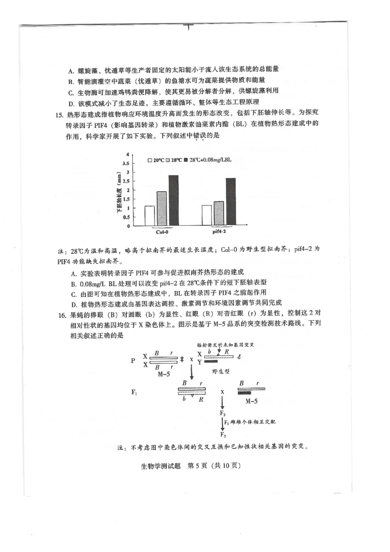 2024届广东省韶关市高三下学期综合测试（二）生物试题_2024年3月_013月合集_2024届广东省韶关市高三下学期综合测试（二）（韶关二模）