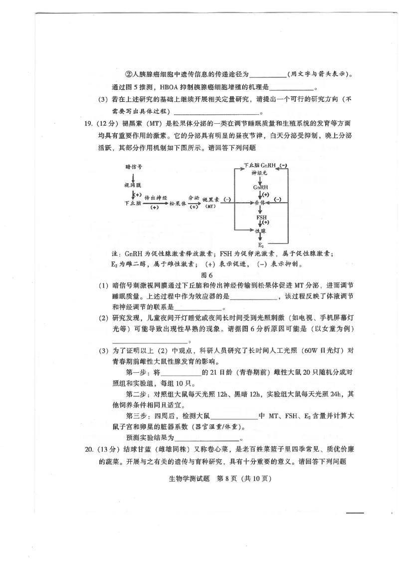 2024届广东省韶关市高三下学期综合测试（二）生物试题_2024年3月_013月合集_2024届广东省韶关市高三下学期综合测试（二）（韶关二模）