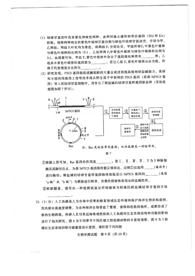 2024届广东省韶关市高三下学期综合测试（二）生物试题_2024年3月_013月合集_2024届广东省韶关市高三下学期综合测试（二）（韶关二模）