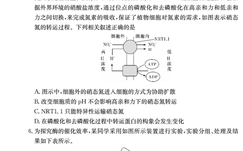 生物试卷（长郡高三2）(1)_2023年10月_0210月合集_2024届湖南省长沙市长郡中学高三上学期月考卷（二）_2024届湖南省长沙市长郡中学高三上学期月考卷（二）生物