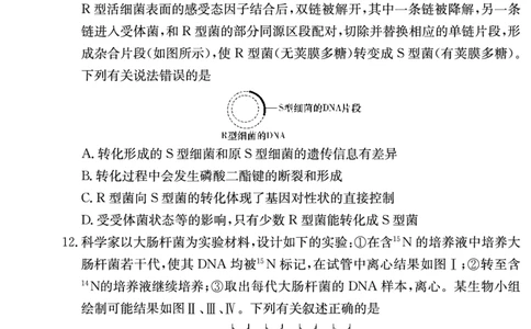 生物试卷（长郡高三2）(1)_2023年10月_0210月合集_2024届湖南省长沙市长郡中学高三上学期月考卷（二）_2024届湖南省长沙市长郡中学高三上学期月考卷（二）生物
