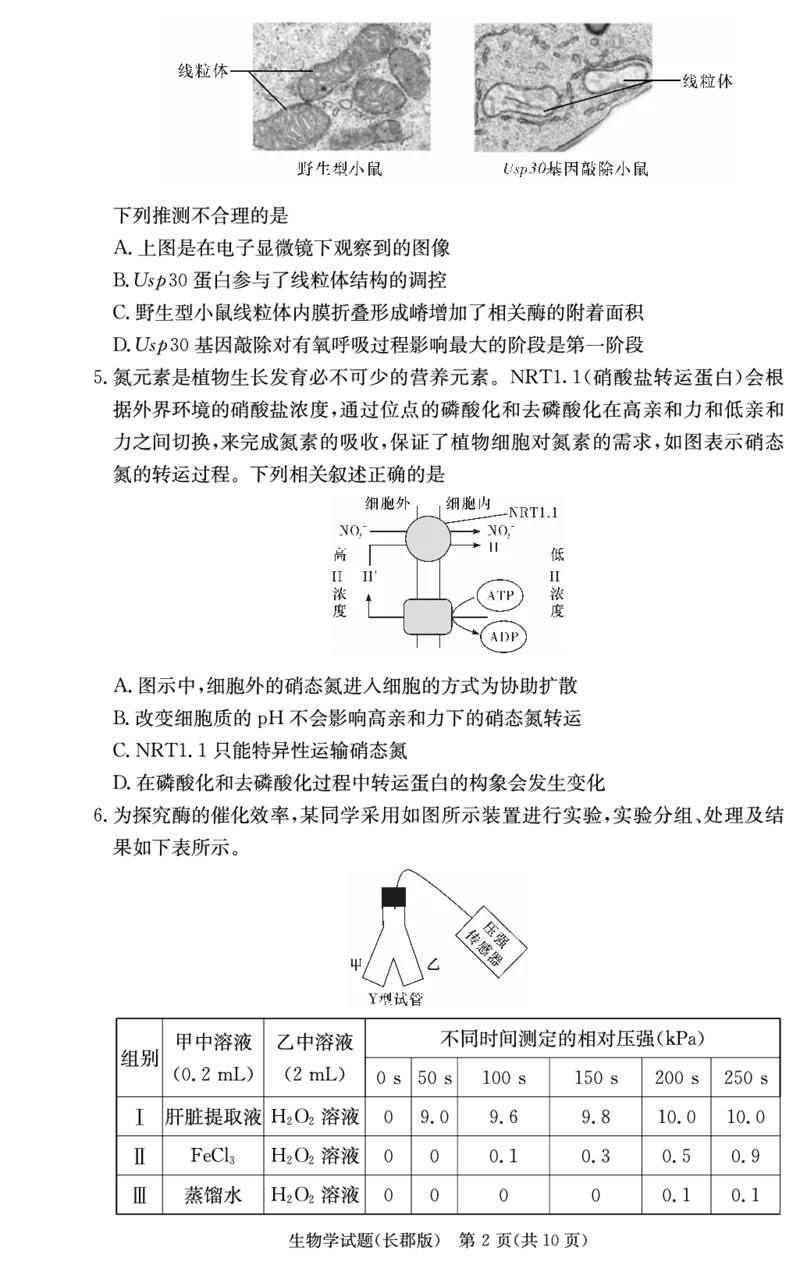 生物试卷（长郡高三2）(1)_2023年10月_0210月合集_2024届湖南省长沙市长郡中学高三上学期月考卷（二）_2024届湖南省长沙市长郡中学高三上学期月考卷（二）生物