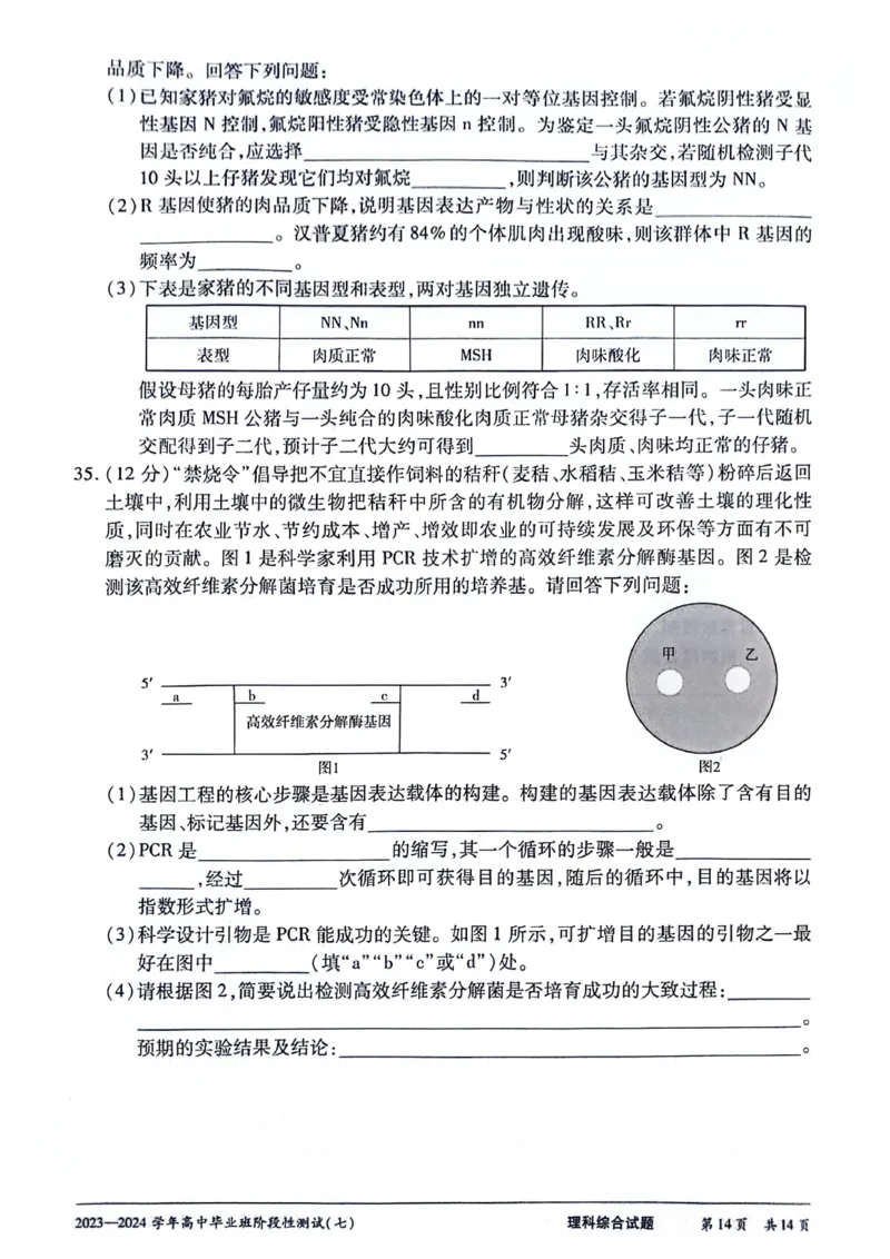 2024天一大联考高中毕业班阶段性测试（七）理综无答(1)_2024年3月_013月合集_2024天一大联考高中毕业班阶段性测试（七）