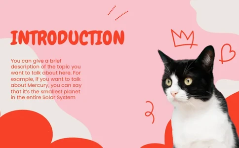 可爱动物（20）_10000+PPT模板大礼包_7丶卡通PPT模板_（100）26套可爱动物ppt模板_主图用