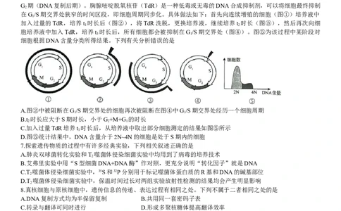 河南省名校联盟2022-2023学年高三上学期9月联考生物试题_2023年7月_01每日更新_27号_2023届河南青桐鸣名校联盟高三上学期9月联考_河南省部分学校2022-2023学年高三上学期9月联考生物