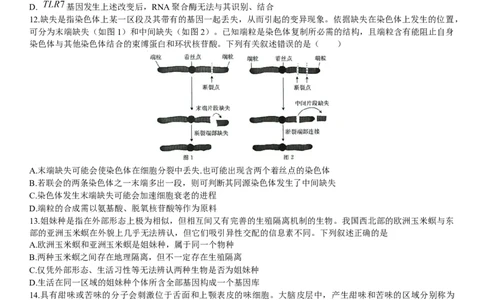 河南省名校联盟2022-2023学年高三上学期9月联考生物试题_2023年7月_01每日更新_27号_2023届河南青桐鸣名校联盟高三上学期9月联考_河南省部分学校2022-2023学年高三上学期9月联考生物
