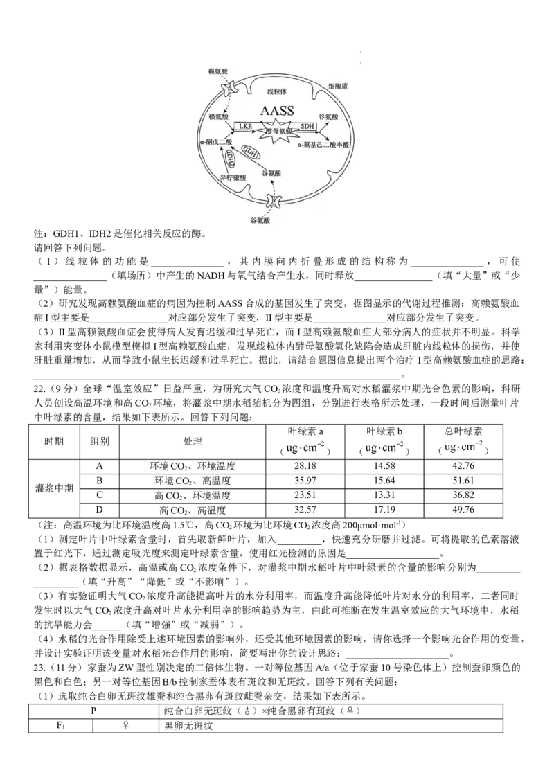 河南省名校联盟2022-2023学年高三上学期9月联考生物试题_2023年7月_01每日更新_27号_2023届河南青桐鸣名校联盟高三上学期9月联考_河南省部分学校2022-2023学年高三上学期9月联考生物