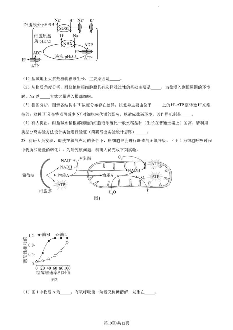 精品解析：福建省三明市一中2023-2024学年高三10月月考生物试题（原卷版）(1)_2023年10月_0210月合集_2024届福建省三明市一中高三10月月考_福建省三明市一中2024届高三10月月考生物