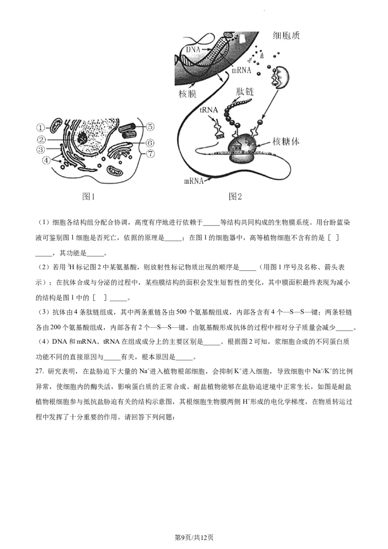 精品解析：福建省三明市一中2023-2024学年高三10月月考生物试题（原卷版）(1)_2023年10月_0210月合集_2024届福建省三明市一中高三10月月考_福建省三明市一中2024届高三10月月考生物