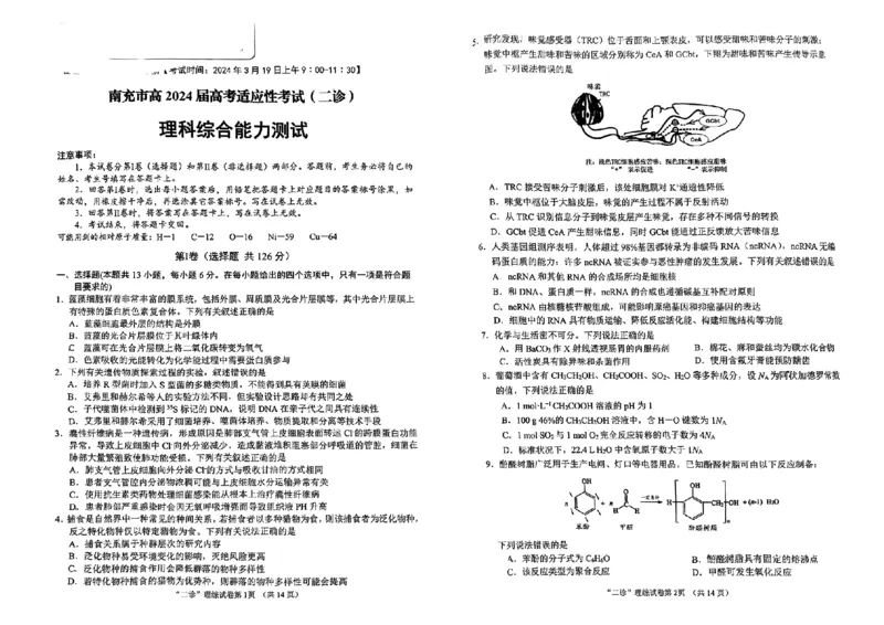 2024届四川省南充市高三下学期适应性考试（二诊）理综试题_2024年3月_013月合集_2024届四川省南充市高三高考适应性考试（二诊）