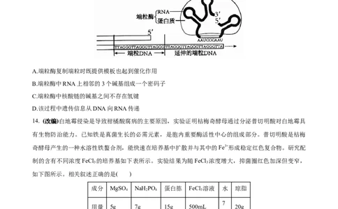 生物（福建卷）（考试版）_2023高考押题卷_学易金卷-2023学科网押题卷（各科各版本）_2023学科网押题卷-学易金卷-生物_生物（福建卷）-学易金卷：2023年高考考前押题密卷
