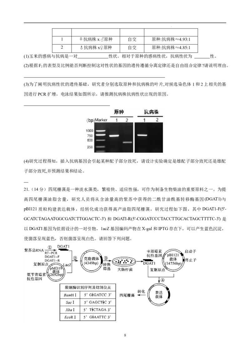 生物（福建卷）（考试版）_2023高考押题卷_学易金卷-2023学科网押题卷（各科各版本）_2023学科网押题卷-学易金卷-生物_生物（福建卷）-学易金卷：2023年高考考前押题密卷