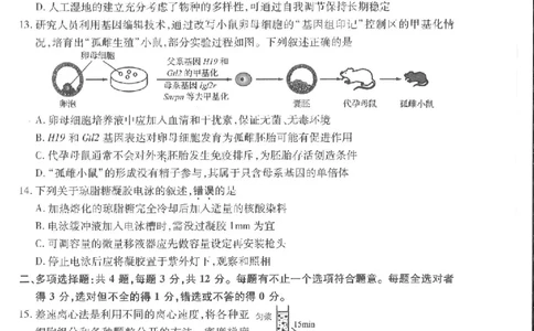 江苏省苏州市2024届高三上学期期初调研测试生物(1)_2023年9月_029月合集_2024届苏省苏州市高三上学期期初调研测试
