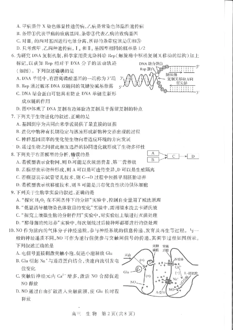 江苏省苏州市2024届高三上学期期初调研测试生物(1)_2023年9月_029月合集_2024届苏省苏州市高三上学期期初调研测试