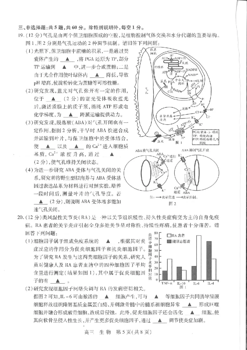 江苏省苏州市2024届高三上学期期初调研测试生物(1)_2023年9月_029月合集_2024届苏省苏州市高三上学期期初调研测试