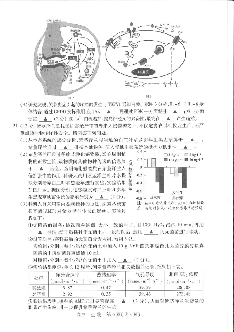 江苏省苏州市2024届高三上学期期初调研测试生物(1)_2023年9月_029月合集_2024届苏省苏州市高三上学期期初调研测试