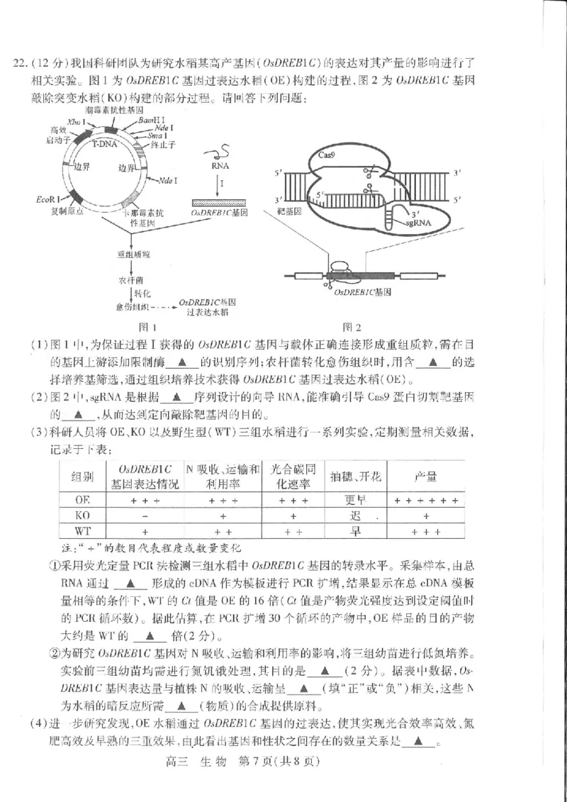 江苏省苏州市2024届高三上学期期初调研测试生物(1)_2023年9月_029月合集_2024届苏省苏州市高三上学期期初调研测试