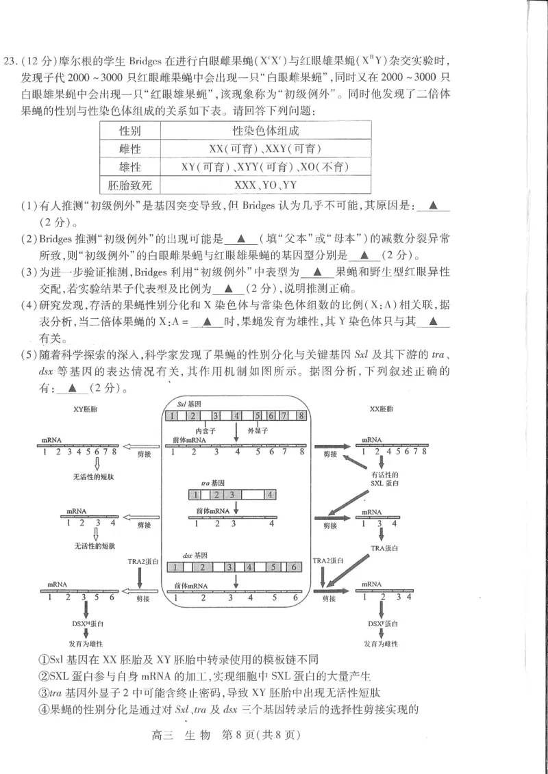 江苏省苏州市2024届高三上学期期初调研测试生物(1)_2023年9月_029月合集_2024届苏省苏州市高三上学期期初调研测试