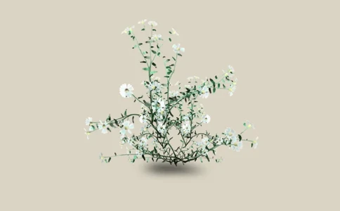 33_10000+PPT模板大礼包_大学生个人简历PPT模板_个人简历-Word版保存下载编辑_三页简历（多份）