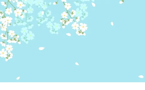 24_各类简历_简历模板(1)_四页模板封面+简历+自荐信+尾页_word-