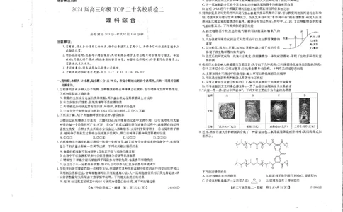 2024届河南省创新联盟TOP二十名校质检二(二模)理综(1)_2024年3月_013月合集_2024届河南省创新联盟TOP二十名校质检二(二模)