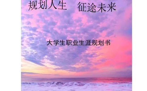 大学生职业生涯规划书_E6-职业规划_93精选范本