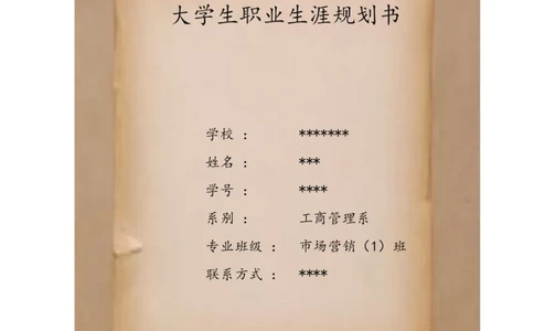 大学生职业生涯规划书_E6-职业规划_93精选范本