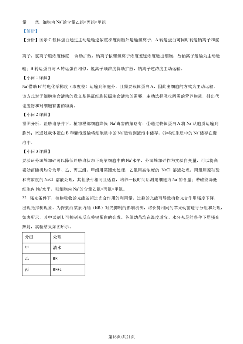 精品解析：山东省菏泽市定陶区明德学校（山大附中实验学校）2023-2024学年高三上学期第一次阶段性考试生物试题（解析版）_2023年9月_01每日更新_12号