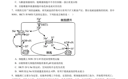 生物-2024年高考终极押题猜想（原卷版）_2024高考押题卷_62024学科网全系列_212024年高考终极押题猜想_生物-2024年高考终极押题猜想