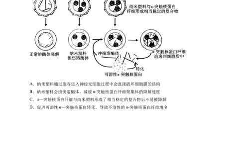 生物-2024年高考终极押题猜想（原卷版）_2024高考押题卷_62024学科网全系列_212024年高考终极押题猜想_生物-2024年高考终极押题猜想