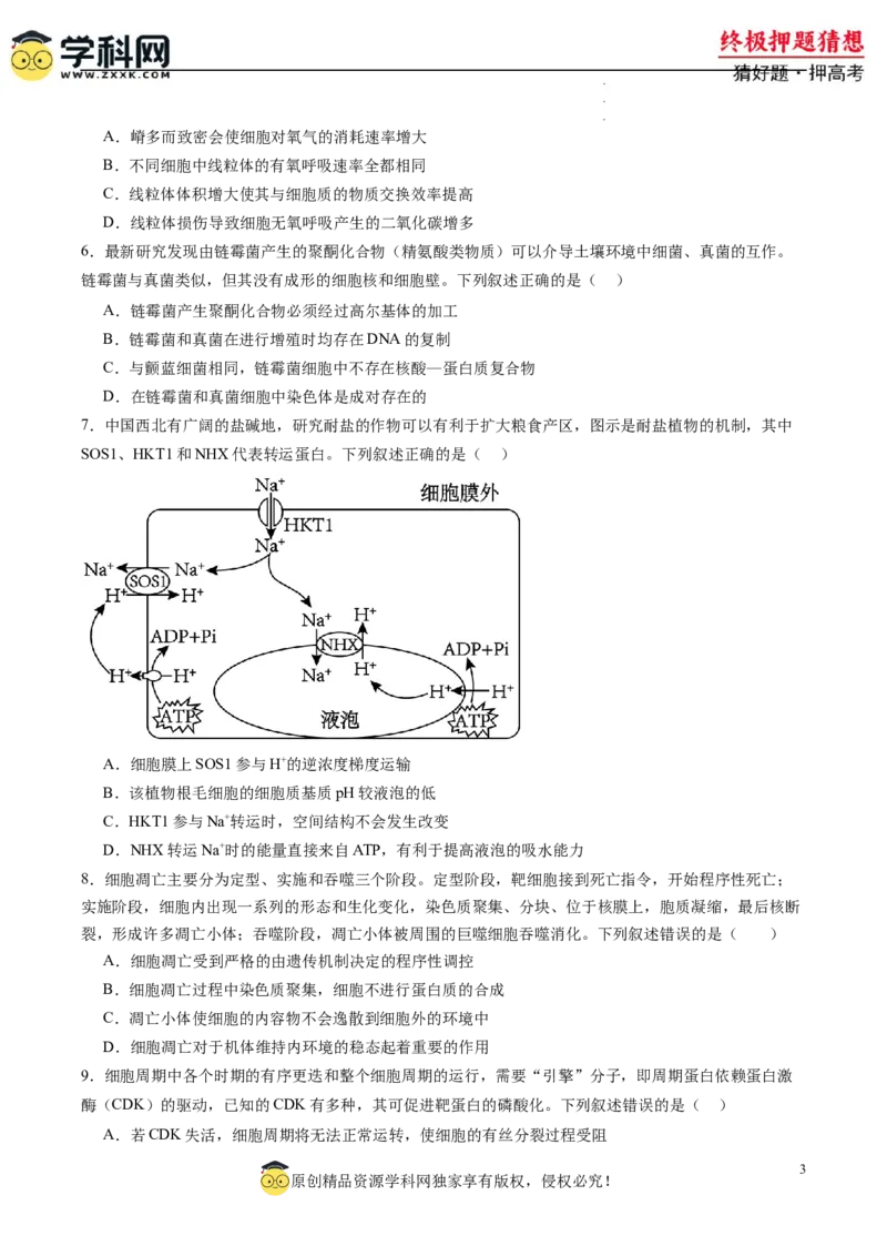 生物-2024年高考终极押题猜想（原卷版）_2024高考押题卷_62024学科网全系列_212024年高考终极押题猜想_生物-2024年高考终极押题猜想