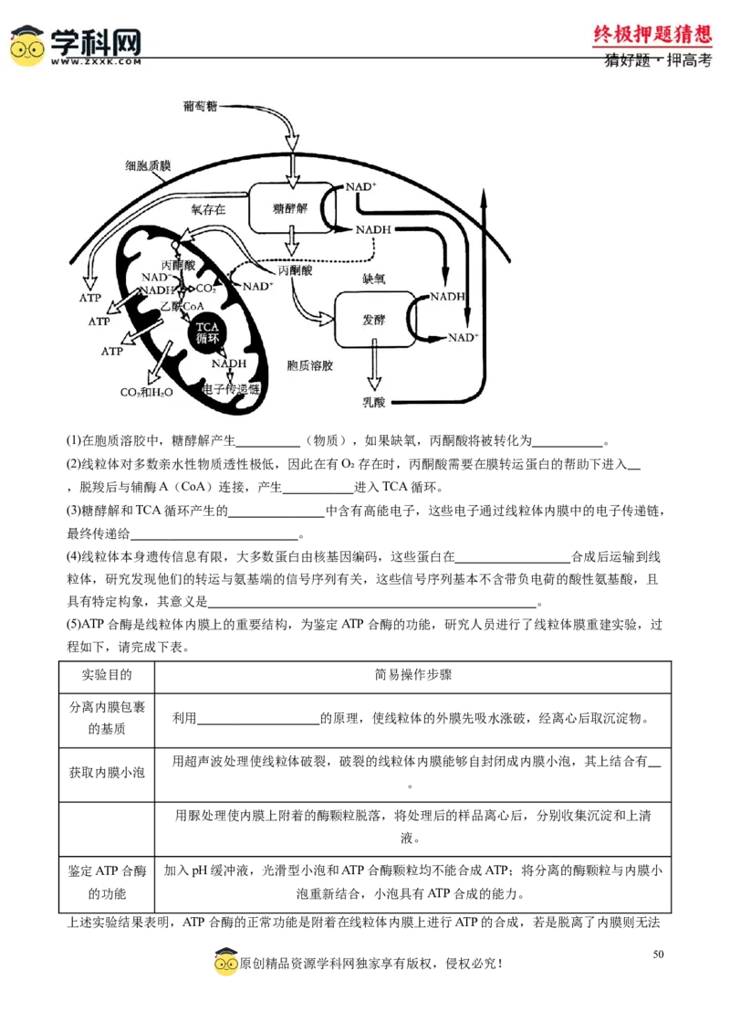 生物-2024年高考终极押题猜想（原卷版）_2024高考押题卷_62024学科网全系列_212024年高考终极押题猜想_生物-2024年高考终极押题猜想