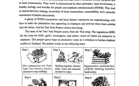 2024北京丰台高三一模英语试题及答案(1)_2024年4月_024月合集_2024届北京市丰台区高三下学期一模考试