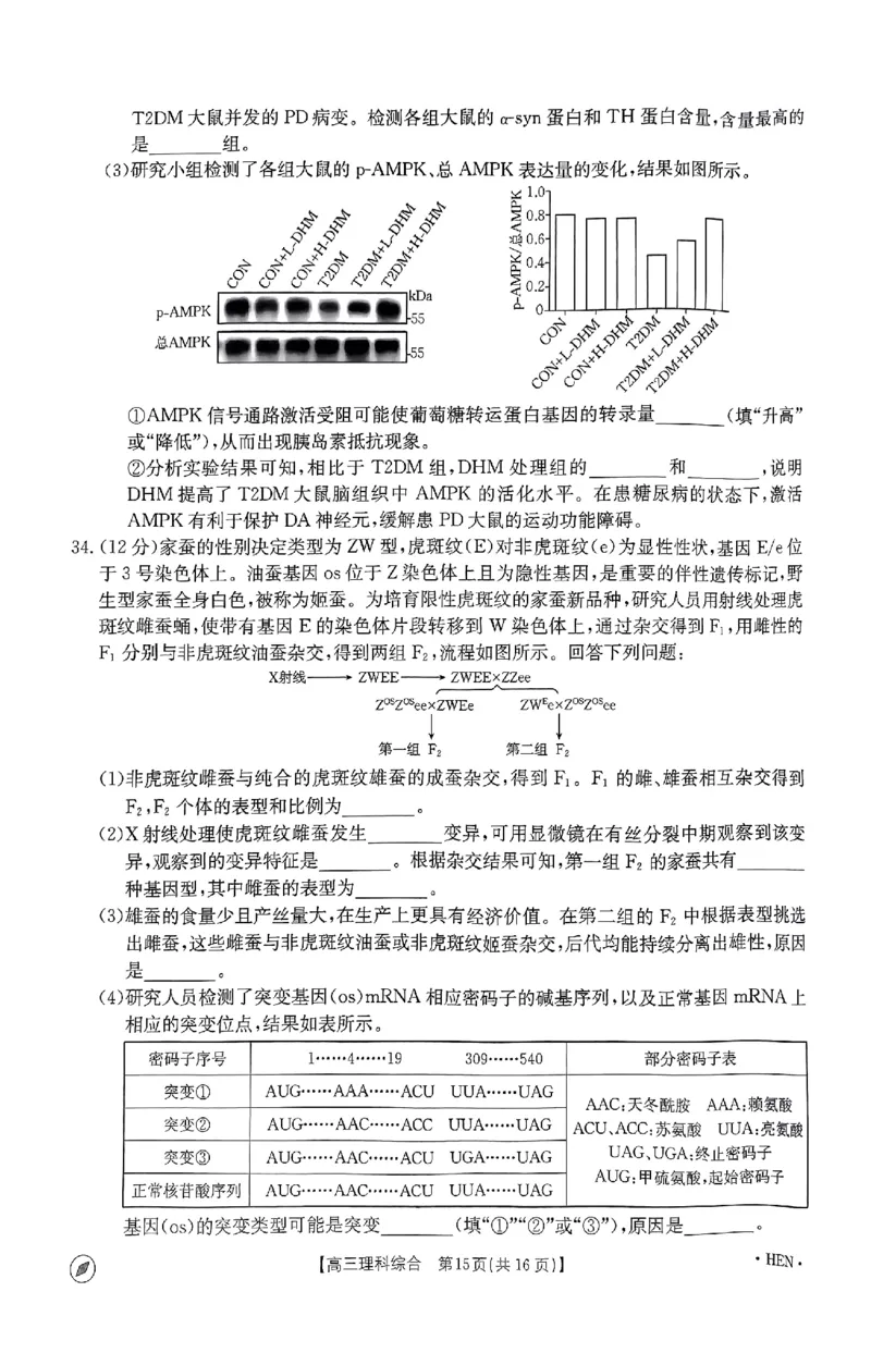 2023-2024年度河南省高三一轮复习阶段性检测理综试题_2024年4月_01按日期_10号_2024届金太阳（指南针）河南名校联盟高三4月联考