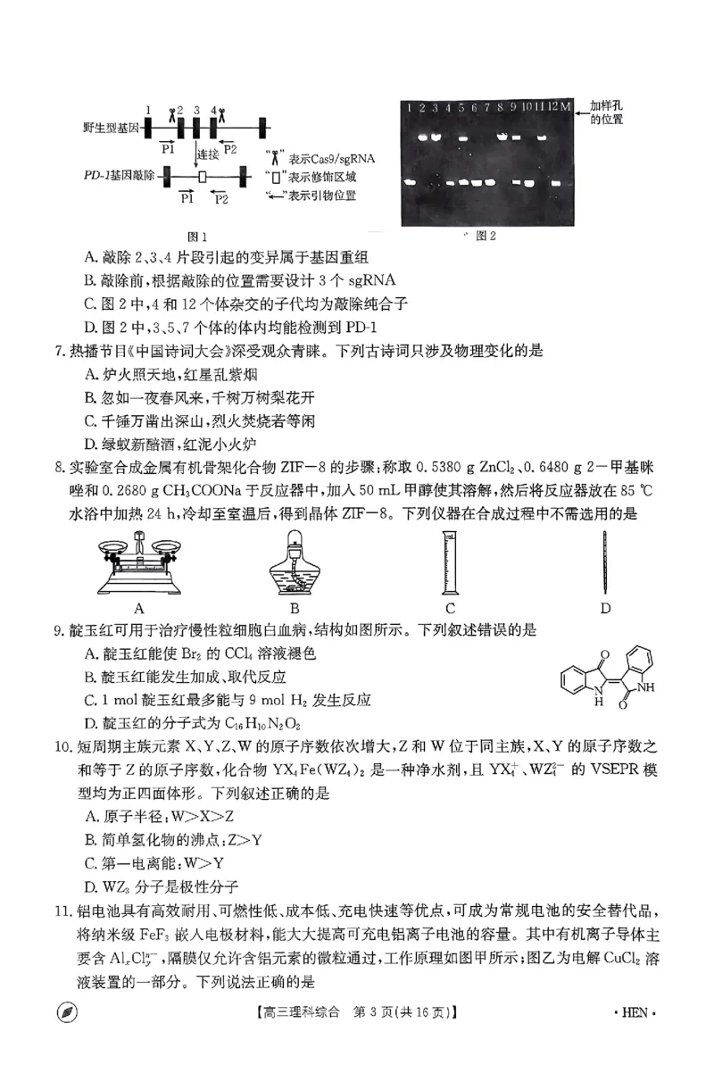 2023-2024年度河南省高三一轮复习阶段性检测理综试题_2024年4月_01按日期_10号_2024届金太阳（指南针）河南名校联盟高三4月联考