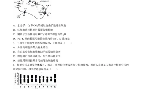 2024届江苏省南通市模拟预测生物试题_2024年5月_01按日期_30号_2024届江苏省南通市高考考前模拟高三练习卷(南通四模)_江苏省南通市2024届高考考前模拟高三练习卷(南通四模)生物试题
