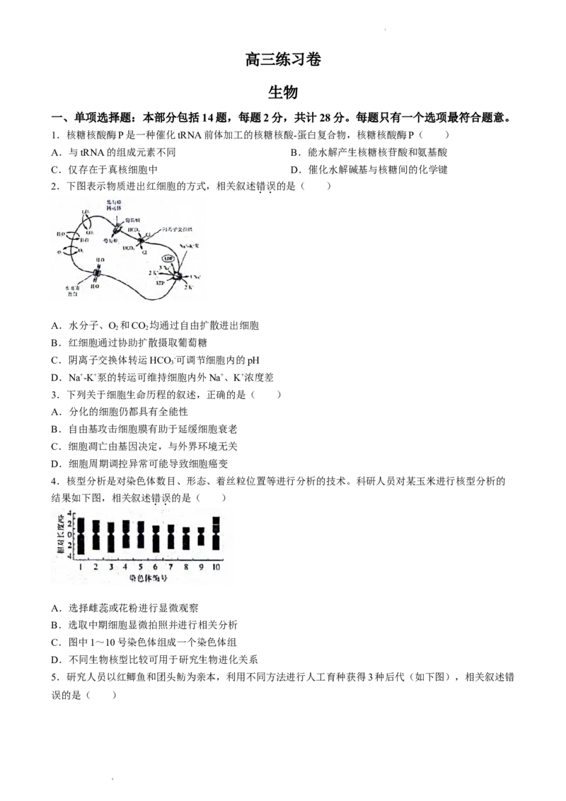 2024届江苏省南通市模拟预测生物试题_2024年5月_01按日期_30号_2024届江苏省南通市高考考前模拟高三练习卷(南通四模)_江苏省南通市2024届高考考前模拟高三练习卷(南通四模)生物试题