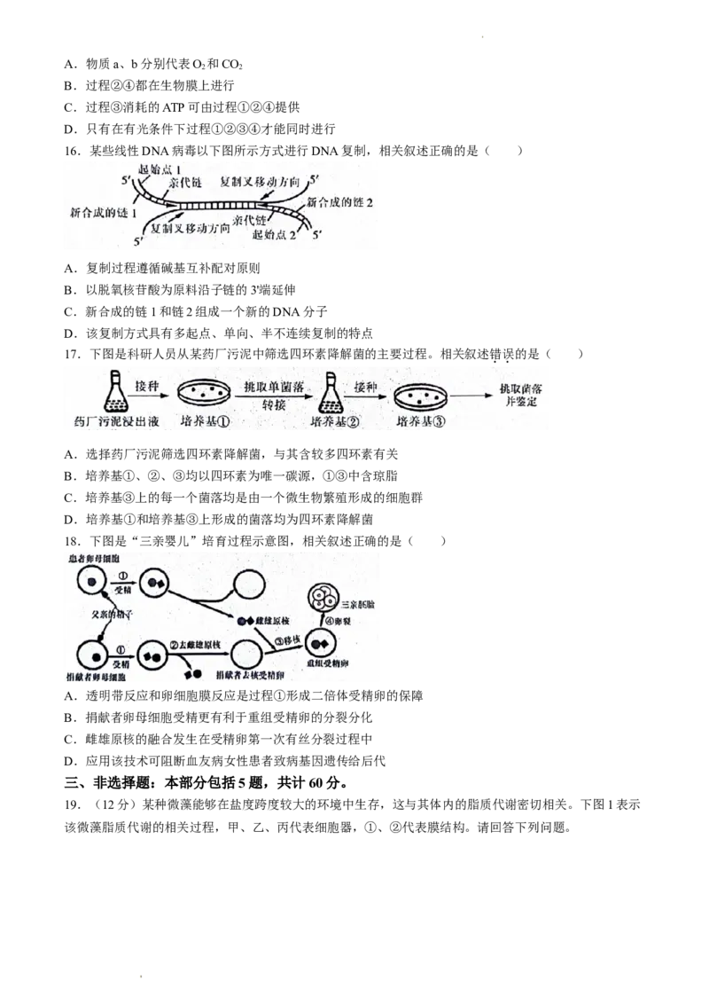 2024届江苏省南通市模拟预测生物试题_2024年5月_01按日期_30号_2024届江苏省南通市高考考前模拟高三练习卷(南通四模)_江苏省南通市2024届高考考前模拟高三练习卷(南通四模)生物试题
