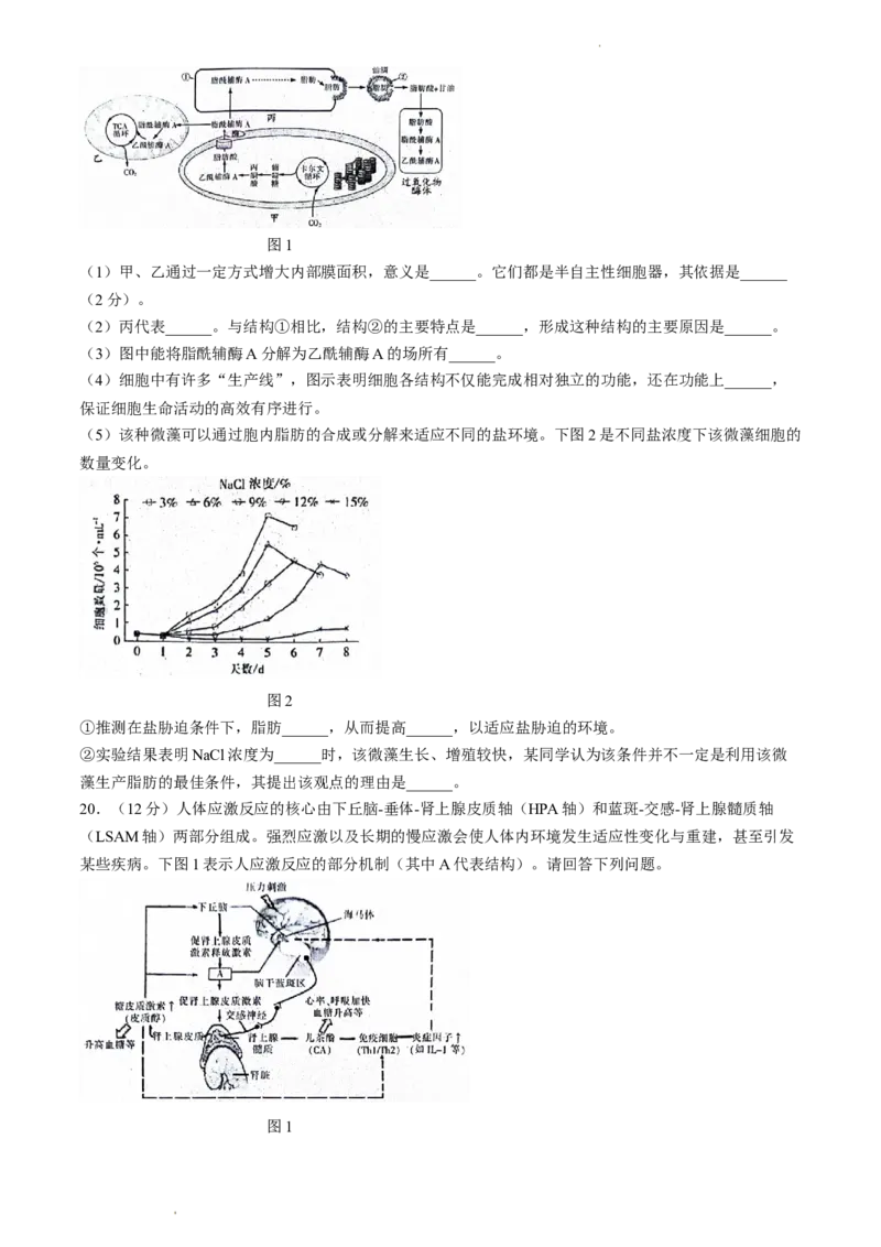 2024届江苏省南通市模拟预测生物试题_2024年5月_01按日期_30号_2024届江苏省南通市高考考前模拟高三练习卷(南通四模)_江苏省南通市2024届高考考前模拟高三练习卷(南通四模)生物试题